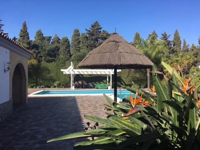 Villa Torrealta, 4000 M2 กาดิซ ภายนอก รูปภาพ