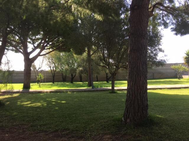 Villa Torrealta, 4000 M2 กาดิซ ภายนอก รูปภาพ