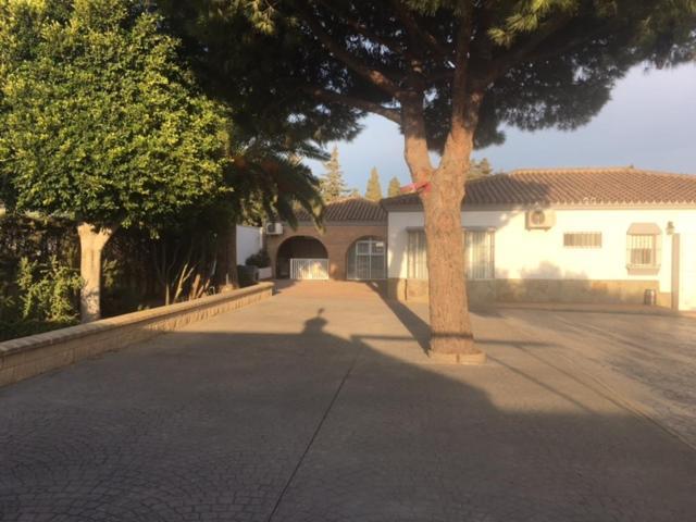 Villa Torrealta, 4000 M2 กาดิซ ภายนอก รูปภาพ